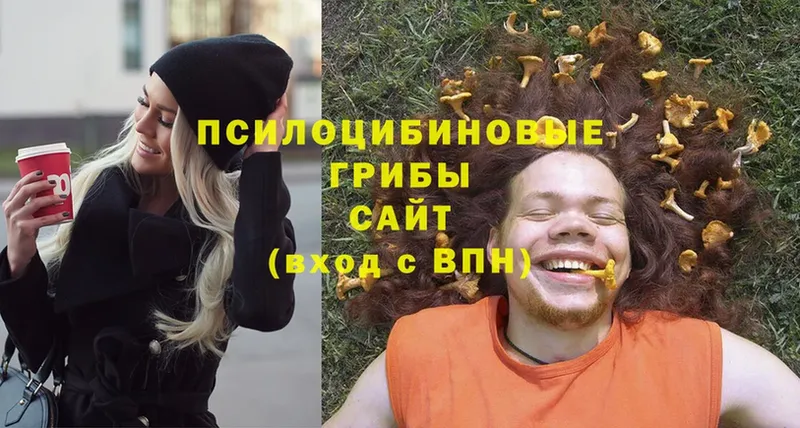 наркошоп  OMG рабочий сайт  Псилоцибиновые грибы Psilocybe  Дегтярск 